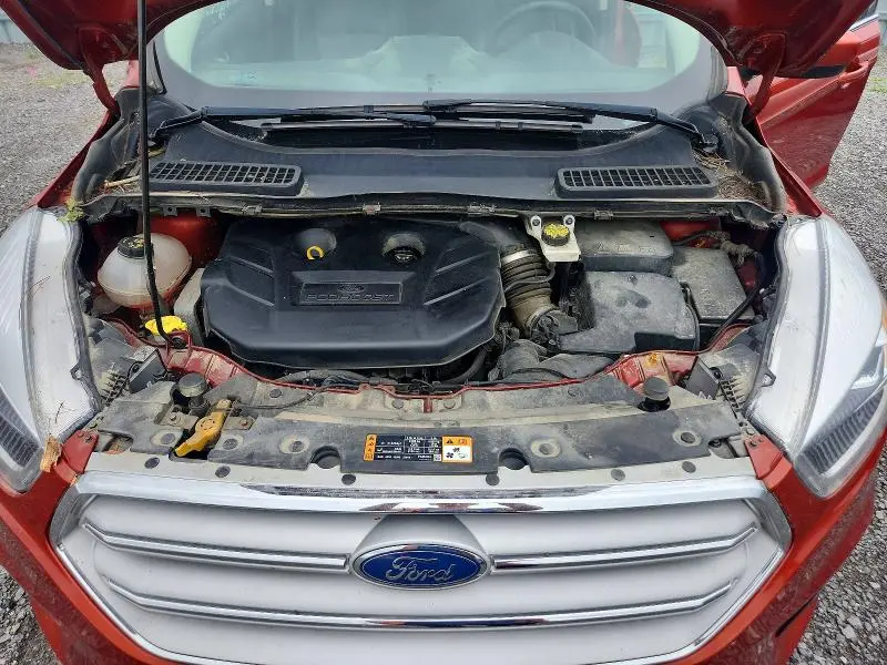 2019 FORD ESCAPE SEL  