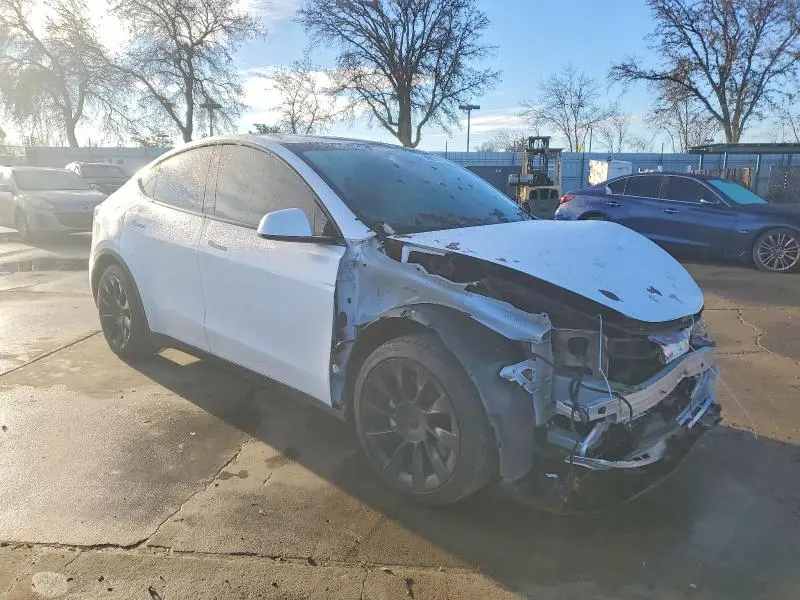 2021 TESLA MODEL Y   
