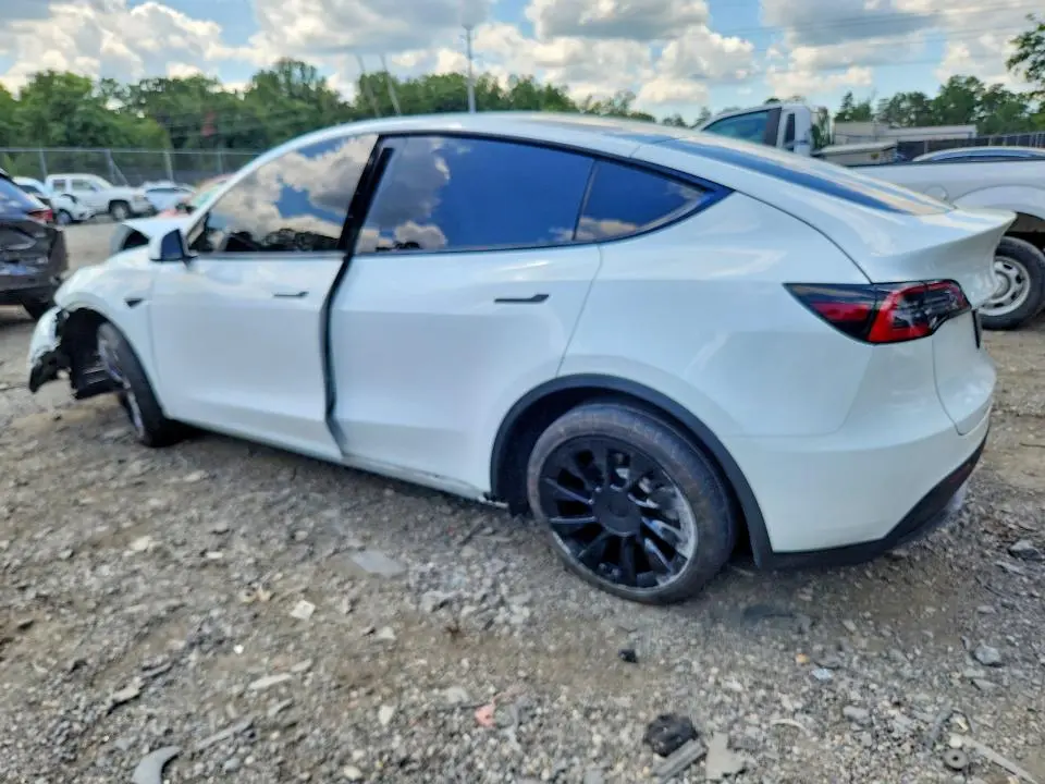 2020 TESLA MODEL Y   