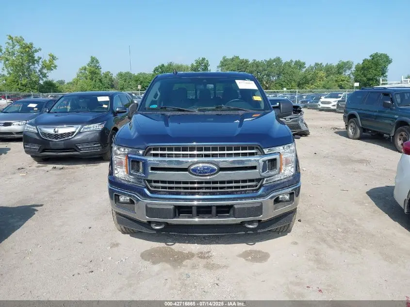 2019 FORD F-150 XLT