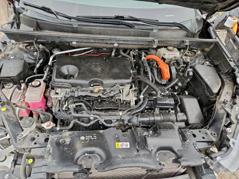 2019 TOYOTA RAV4 XLE  