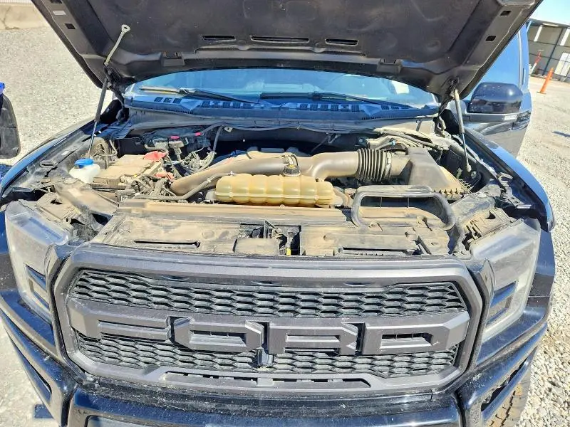 2019 FORD F150 RAPTOR  
