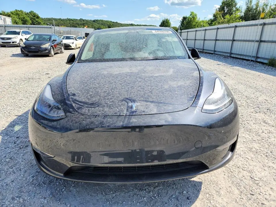 2025 TESLA MODEL Y   
