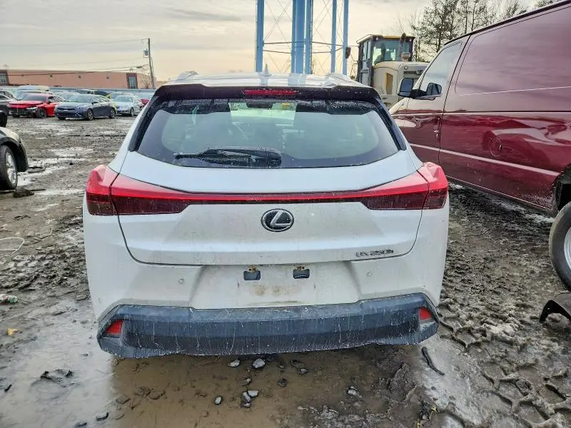 2020 LEXUS UX 250H  