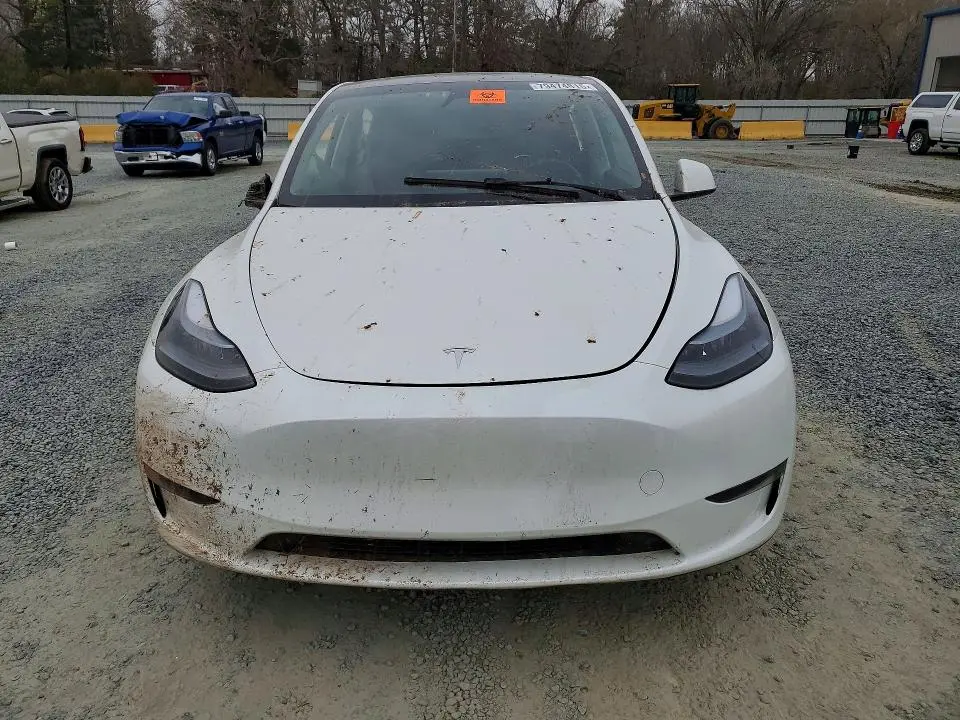 2024 TESLA MODEL Y   