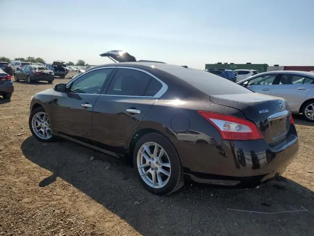 2010 NISSAN MAXIMA S