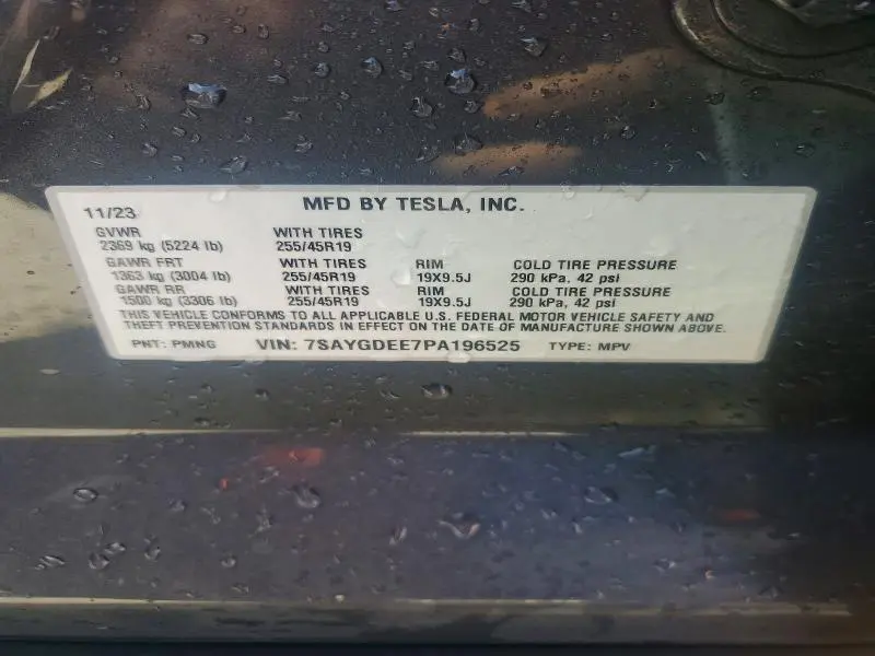 2023 TESLA MODEL Y   