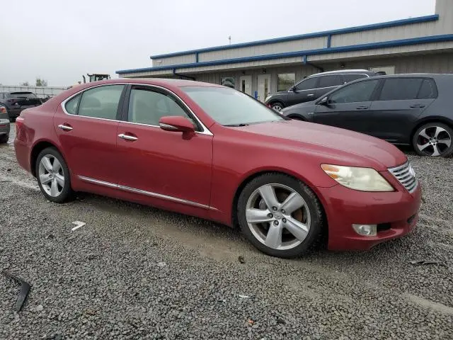 2011 LEXUS LS 460  