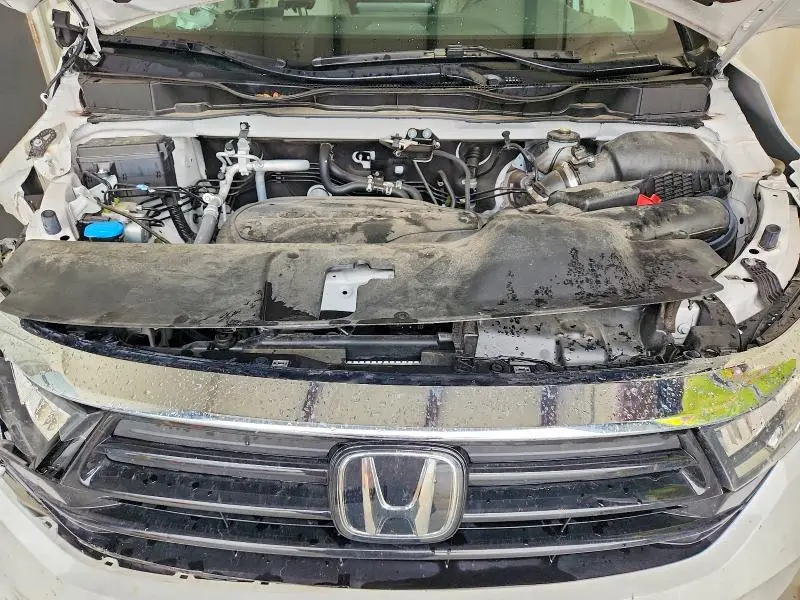 2024 HONDA ODYSSEY EXL  