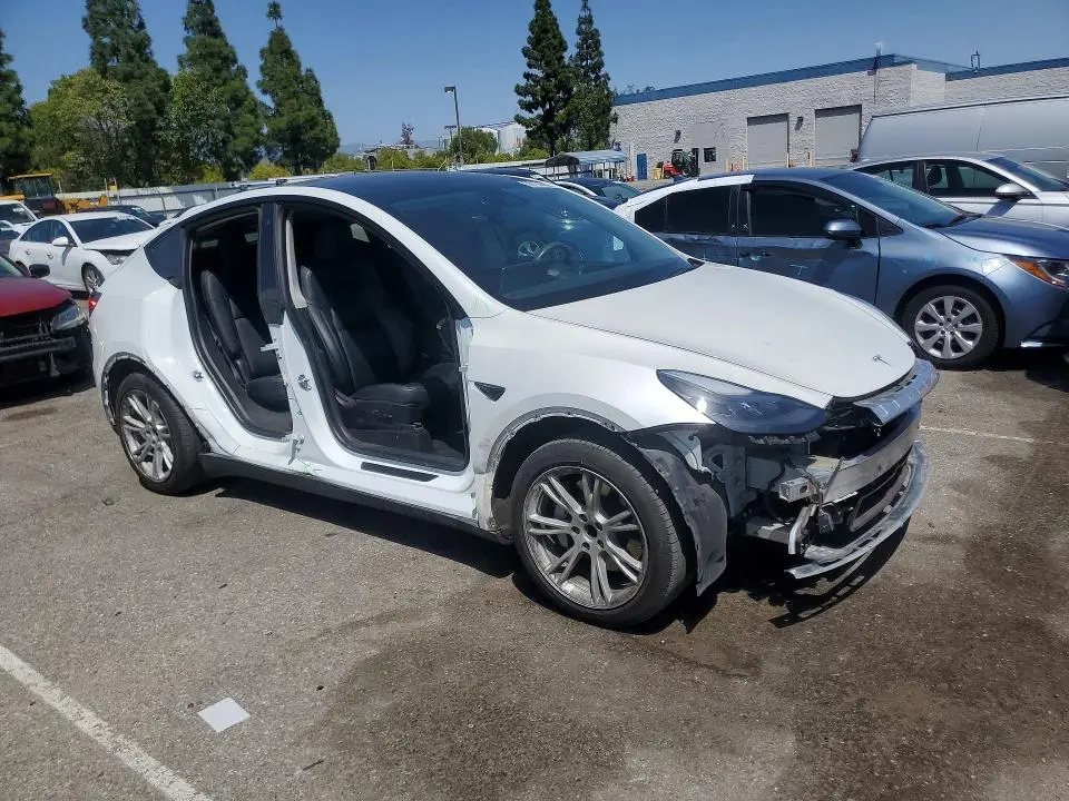2020 TESLA MODEL Y   