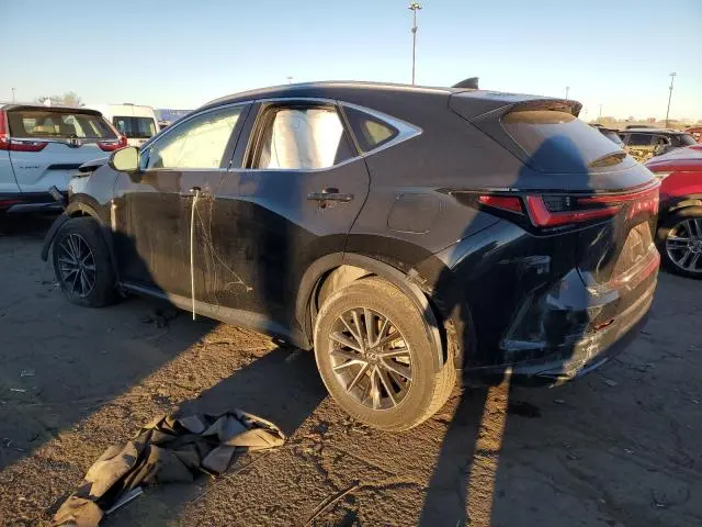 2024 LEXUS NX 350 BASE  