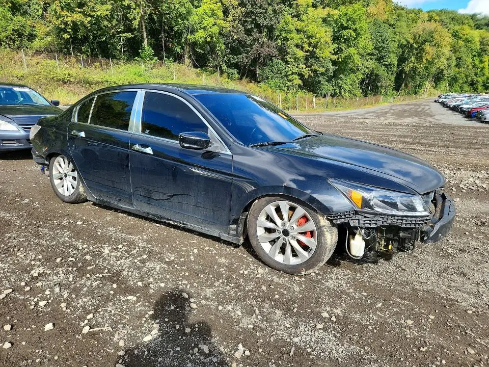 2011 HONDA ACCORD EXL  