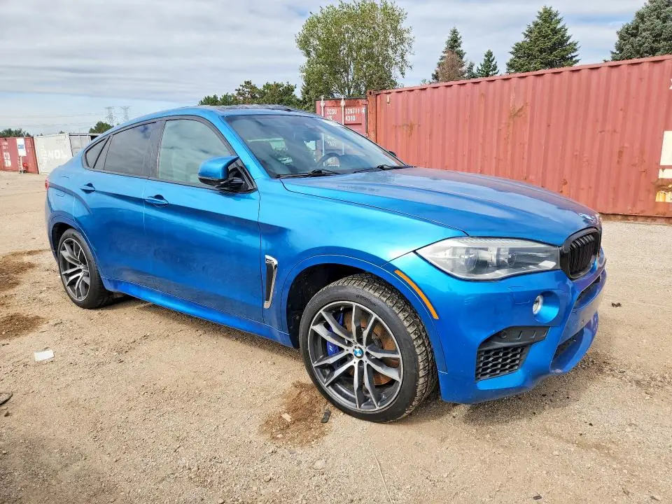 2015 BMW X6 M  