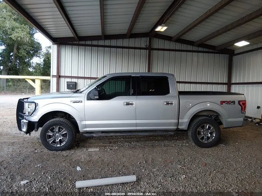 2015 FORD F-150 XLT