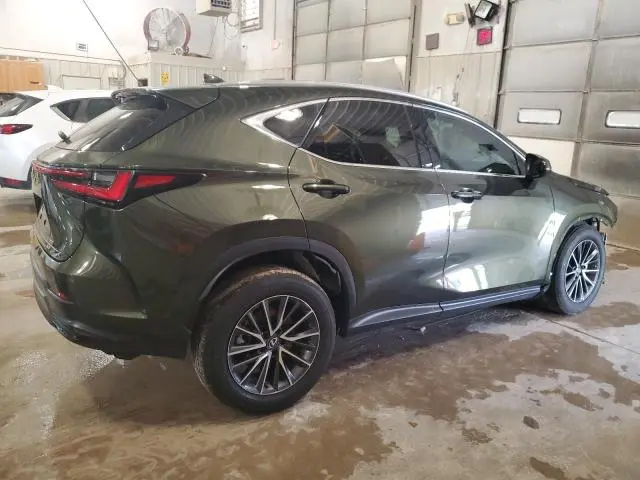 2023 LEXUS NX 350  