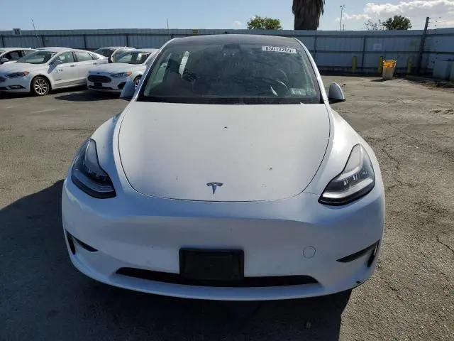 2020 TESLA MODEL Y   