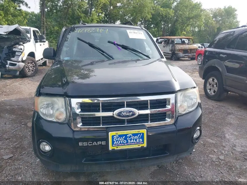 2010 FORD ESCAPE XLT