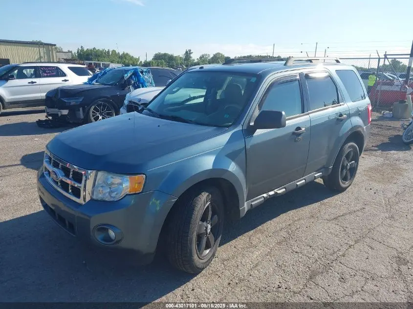 2011 FORD ESCAPE XLT