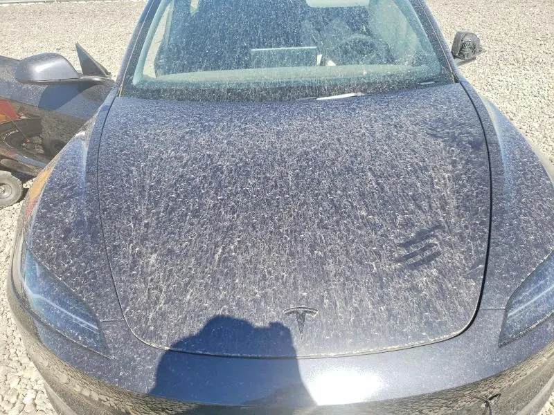 2026 TESLA MODEL 3   