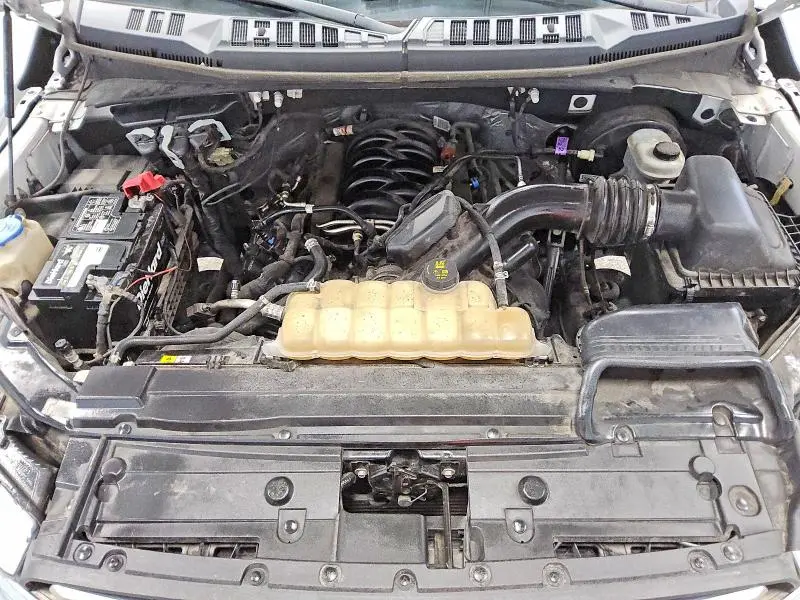 2019 FORD F150   