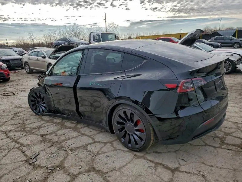 2025 TESLA MODEL Y   