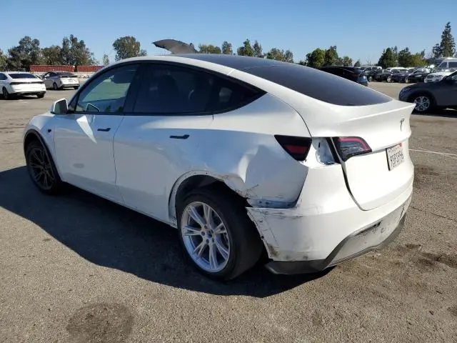 2025 TESLA MODEL Y   