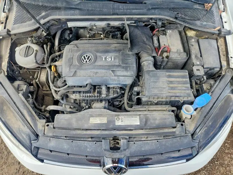 2017 VOLKSWAGEN GOLF S  