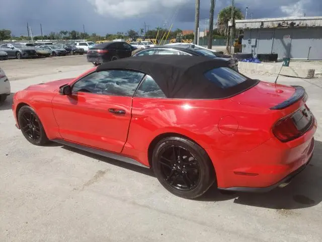 2019 FORD MUSTANG