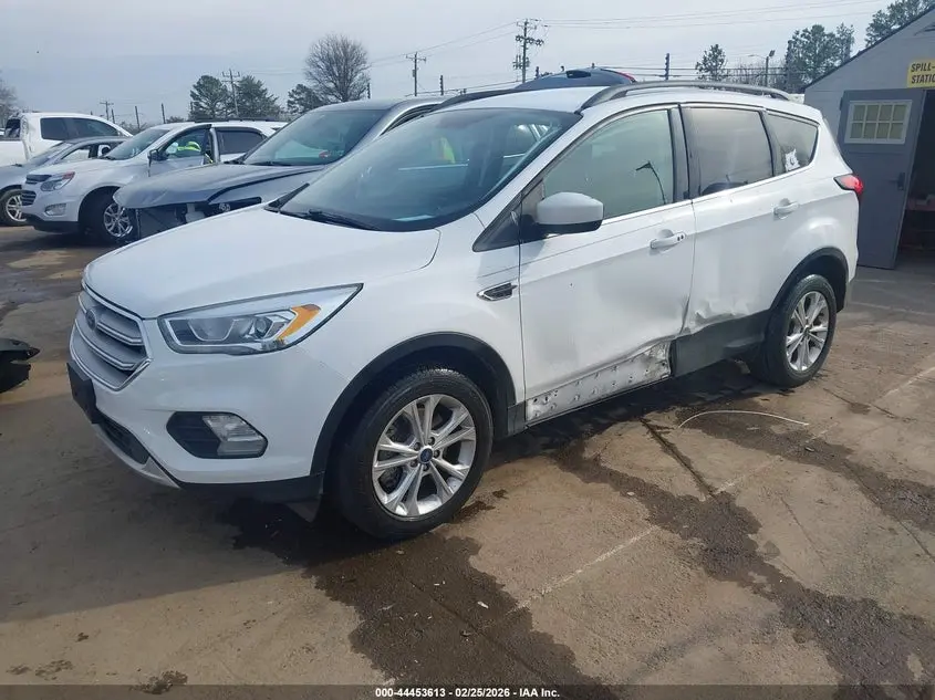 2019 FORD ESCAPE SEL