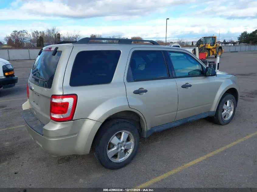 2011 FORD ESCAPE XLT