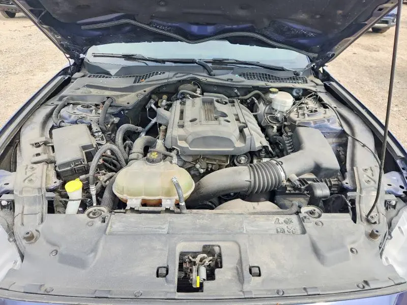 2019 FORD MUSTANG   