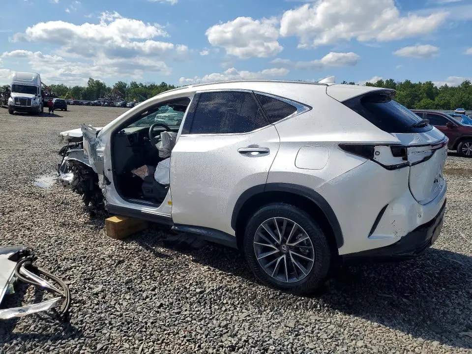 2025 LEXUS NX 350 BASE  