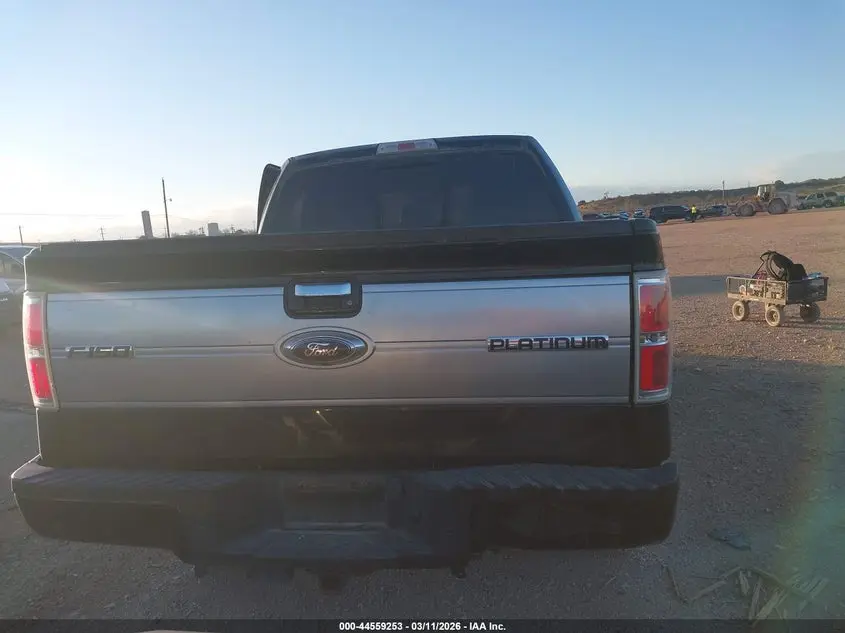 2013 FORD F-150 PLATINUM