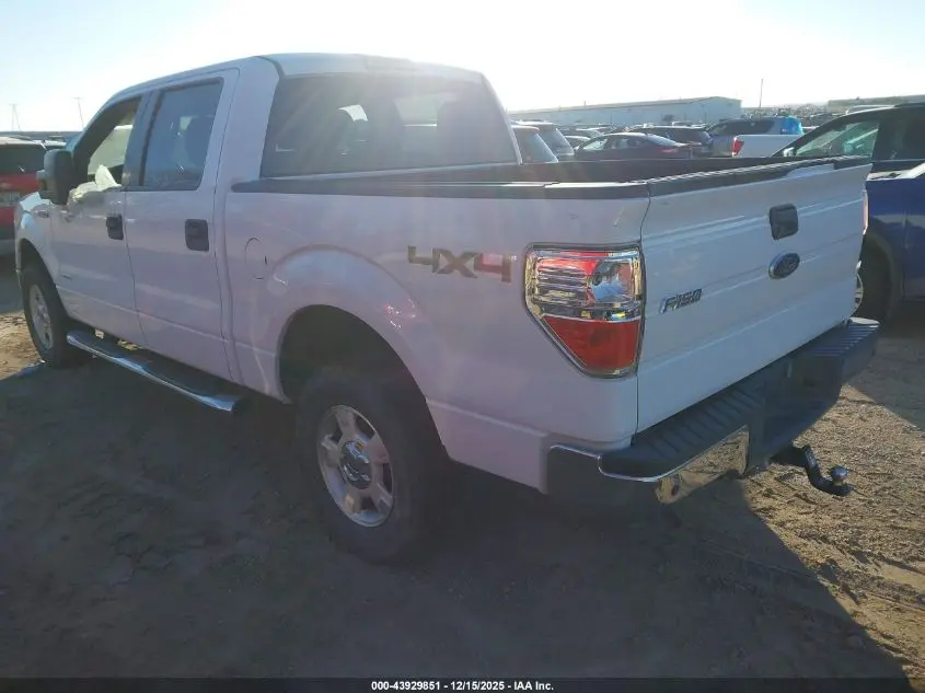 2014 FORD F-150 XLT