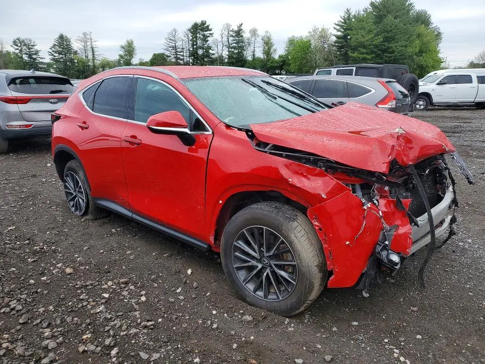 2024 LEXUS NX 250 BASE  