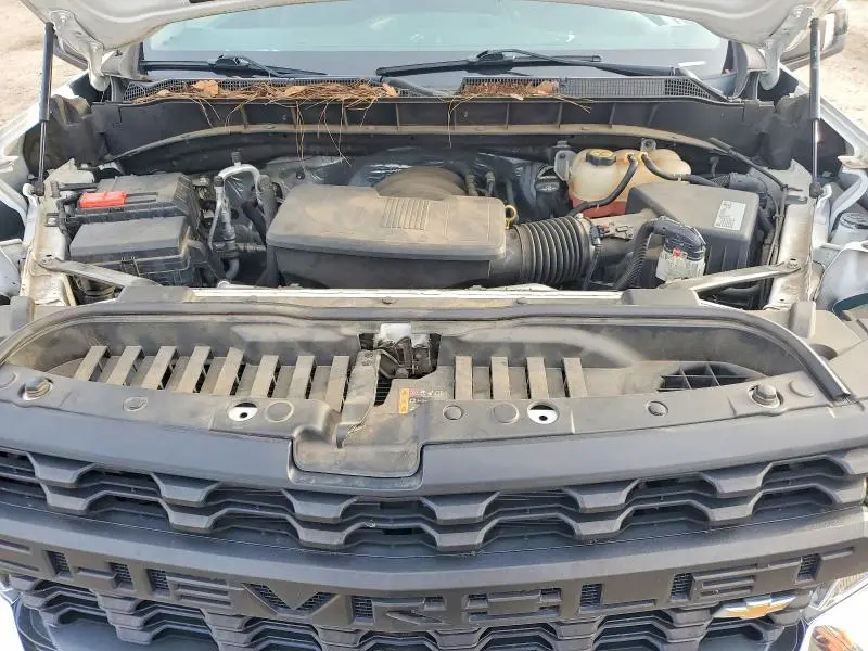 2019 CHEVROLET SILVERADO C1500  