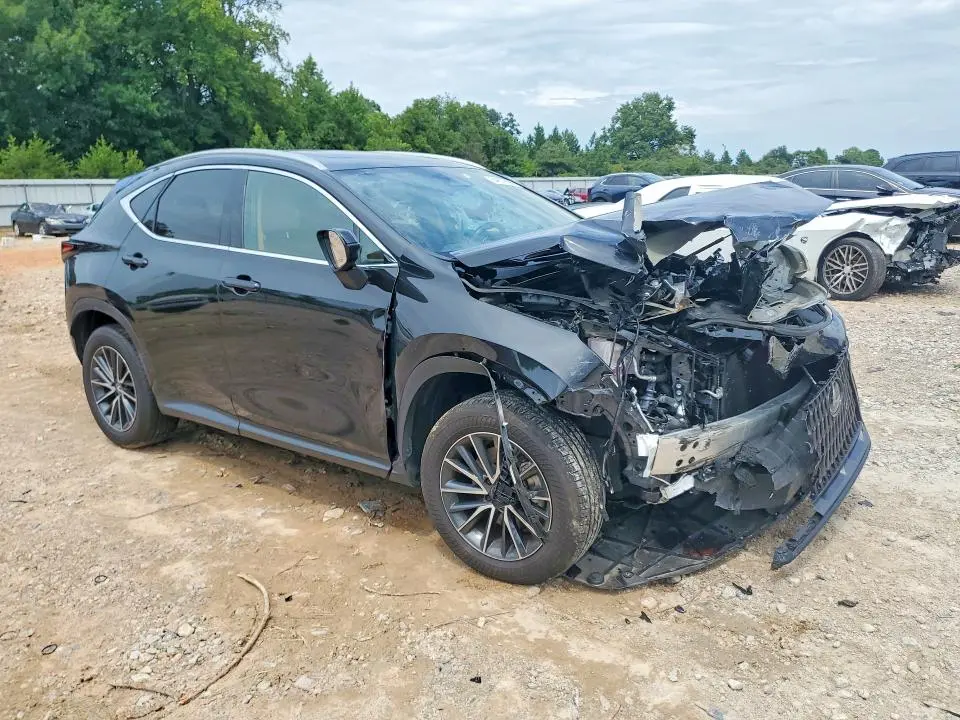 2025 LEXUS NX 350 BASE  