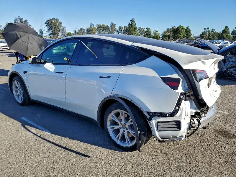 2021 TESLA MODEL Y   