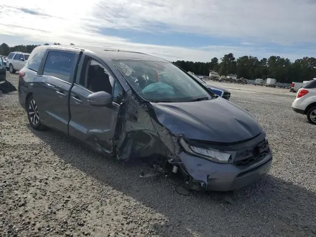 2025 HONDA ODYSSEY EXL  
