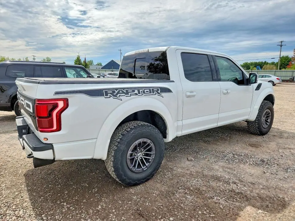 2019 FORD F150 RAPTOR  