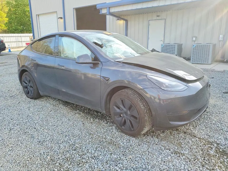 2025 TESLA MODEL Y   