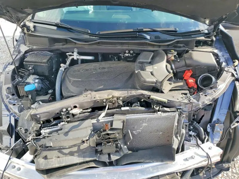 2024 HONDA ODYSSEY EXL  