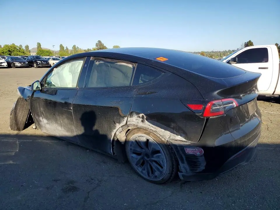 2025 TESLA MODEL Y   