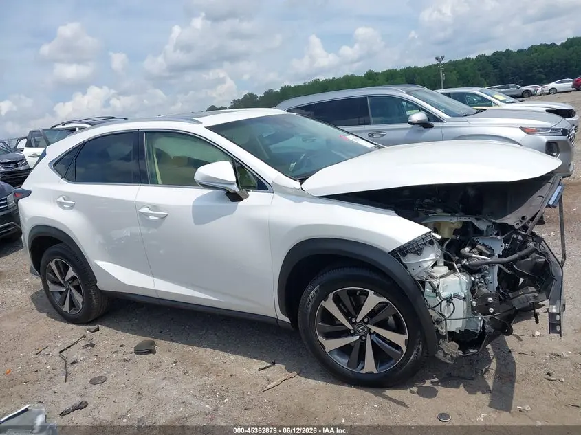 2019 LEXUS NX 300  