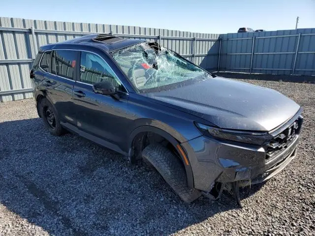 2025 HONDA CR-V EXL  