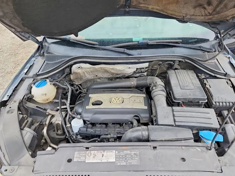2010 VOLKSWAGEN TIGUAN S  