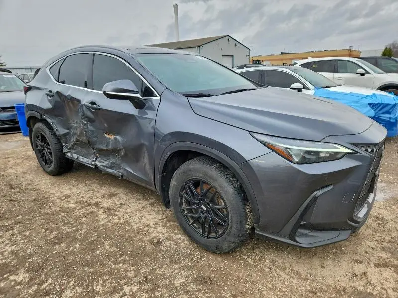 2024 LEXUS NX 350H BASE  