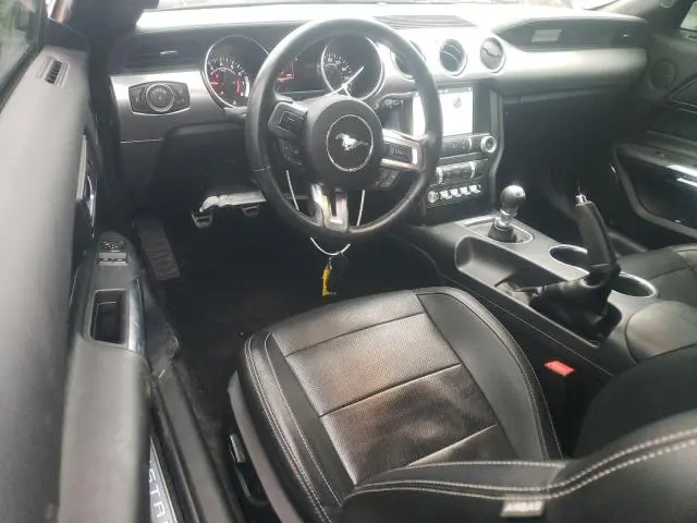 2019 FORD MUSTANG   
