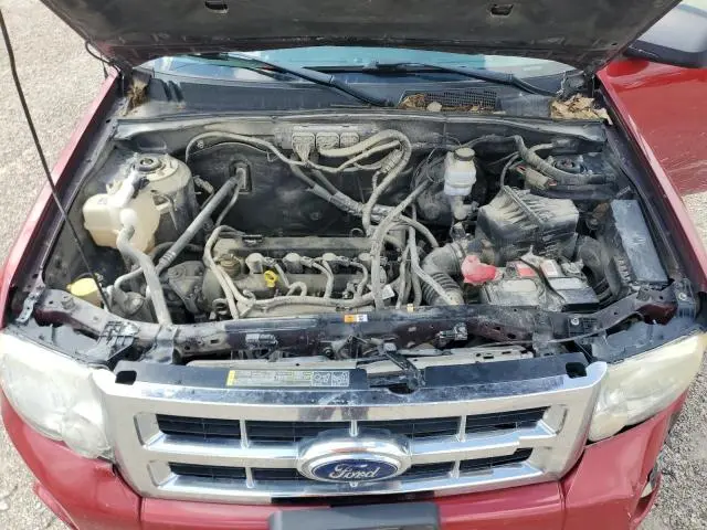 2011 FORD ESCAPE XLT