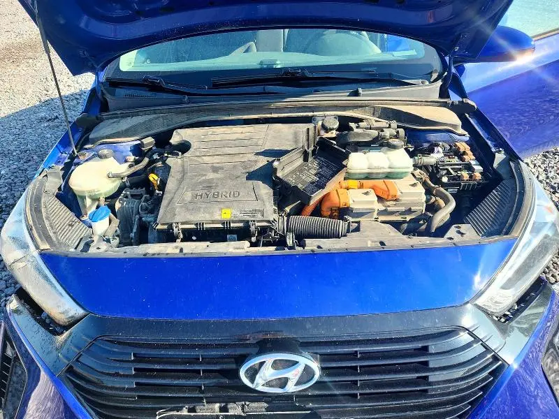 2019 HYUNDAI IONIQ BLUE  